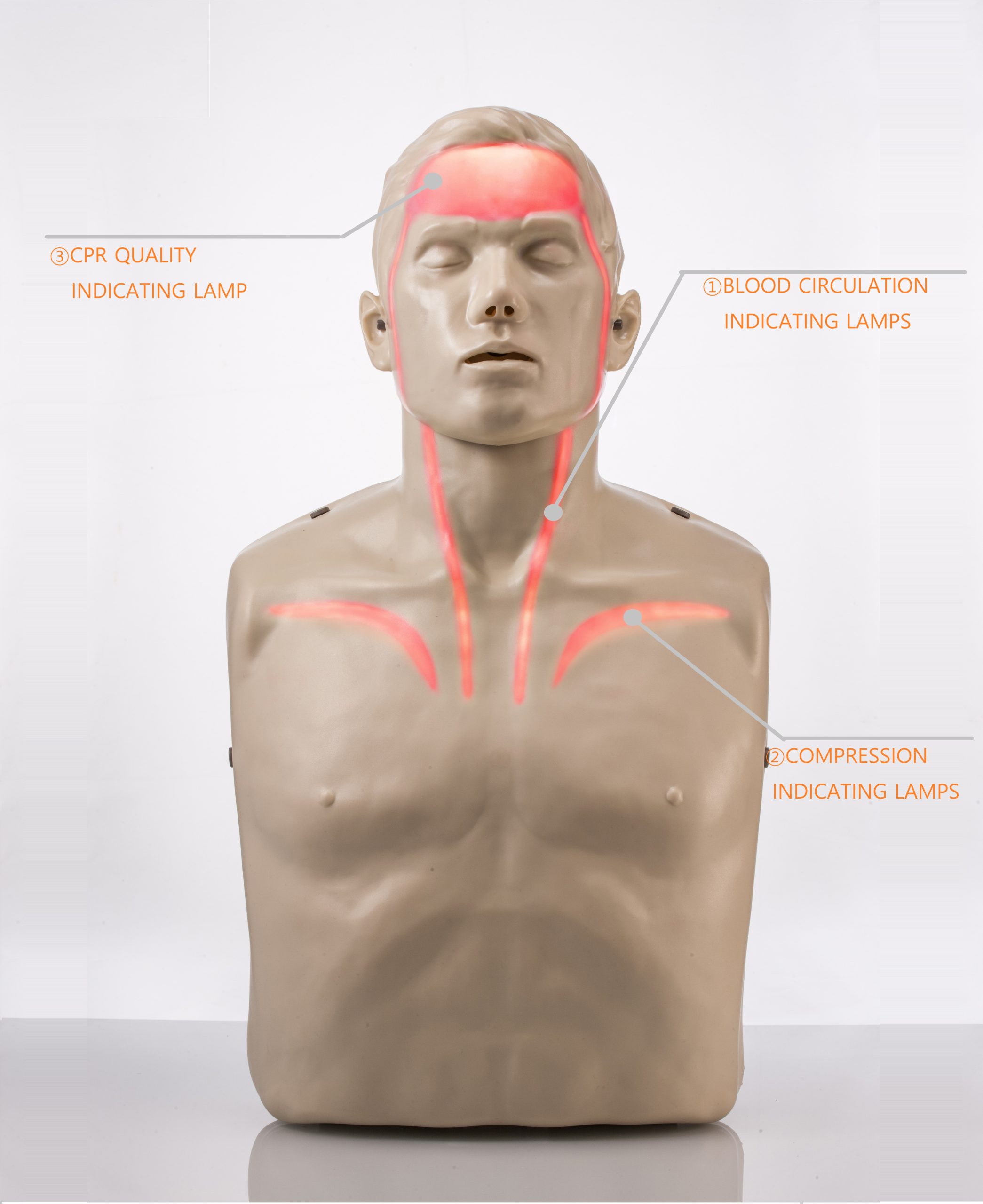 Brayden CPR Manikin (With Illumination Option) 5 Brayden_RED_LED_V3_High-resolution-004-scaled.jpg