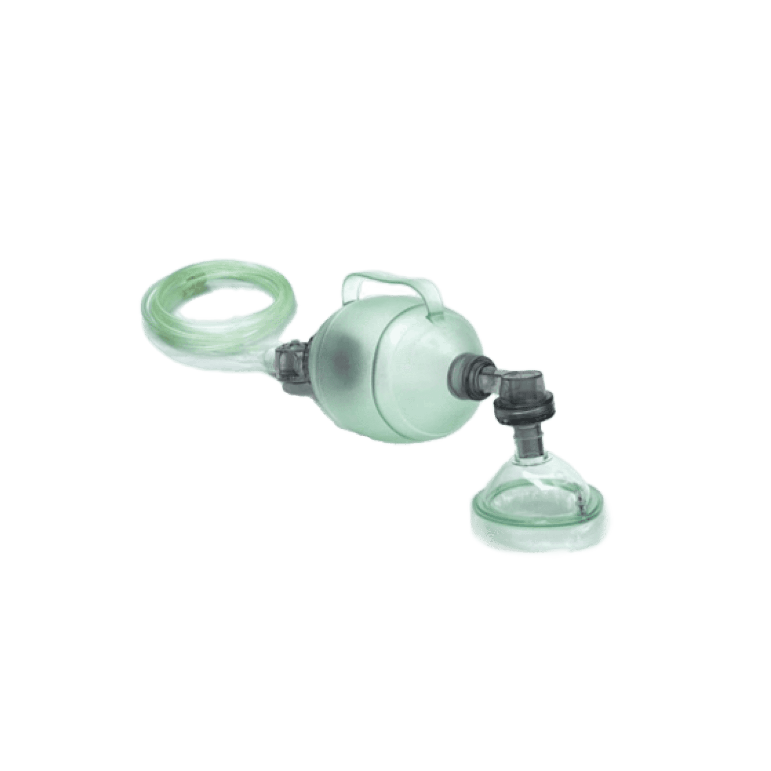 Adult & Child B.V.M (2 sizes)